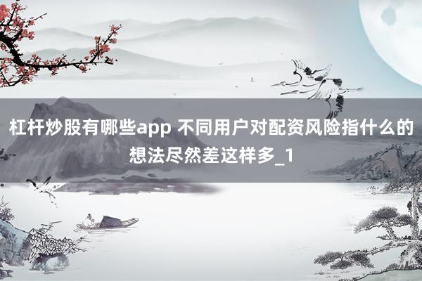 杠杆炒股有哪些app 不同用户对配资风险指什么的想法尽然差这样多_1